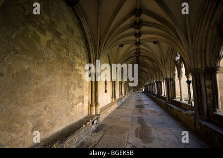 Um Norwich Kathedrale im Herzen von Norfolk, England Stockfoto