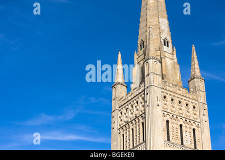 Um Norwich Kathedrale im Herzen von Norfolk, England Stockfoto