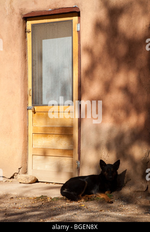 Ein verschlafenes Hund liegend durch eine Tür in Taos Pueblo in New Mexico Stockfoto