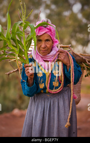 Provinz von OUARZAZATE, Marokko - Berber Frau hält Maisstiel, an das Ksar bei Ait Benhaddou. Stockfoto