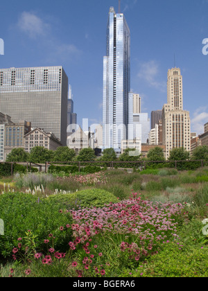 Elch 1007 Illinois-Chicago Skyline vom Millennium Park Lurie Garden Stockfoto