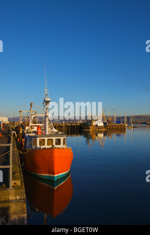 Angelboote/Fischerboote im Hafen von Stranraer, mit Fährhafen Sie im Hintergrund Stockfoto