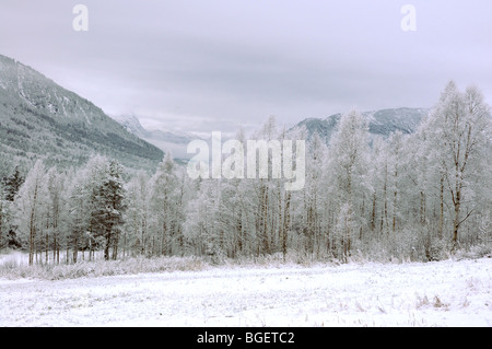 eine schneebedeckte Tal in Norwegen in der Abenddämmerung Stockfoto