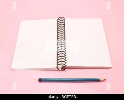 Notizbuch und Stift Stockfoto