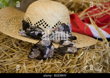 Rund um die Royal Norfolk Show in Norwich, im Jahr 2009. Nahaufnahme der Strohhut auf Heu liegend Stockfoto