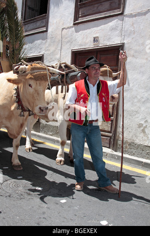 Ein Bauer mit seinem Ochsen verziert mit Glocken und angebunden an einen Wagen bereit zur Teilnahme an der Prozession Romeria de San Isidro Stockfoto