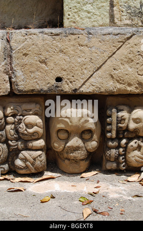 Schädel, die Schnitzerei an der alten Maya-Reich von Copán, Honduras Stockfoto