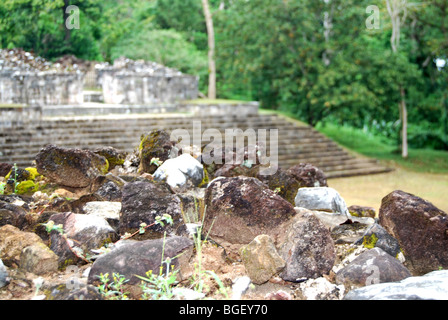 Maya-Ruinen in Quiriguá, Guatemala Stockfoto