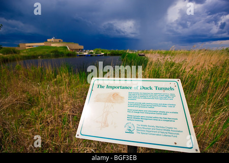 Melden Sie sich, erklären die Bedeutung der Ente Tunnels an der Oak Hängematte Marsh Interpretive Centre in der Nähe von Stonewall, Manitoba, Kanada. Stockfoto