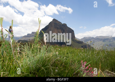 uKahlamba Drakensberg Berge Cathedral Peak Stockfoto