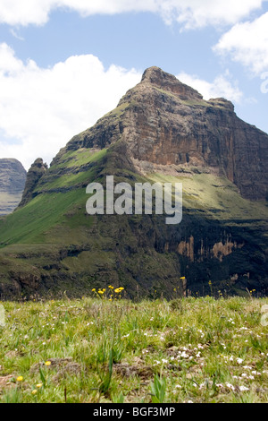 Ukahlamba Drakensberg Berge Cathedral Peak Stockfoto