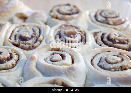 Nahaufnahme der frisch gebackene Zimtschnecken. Stockfoto