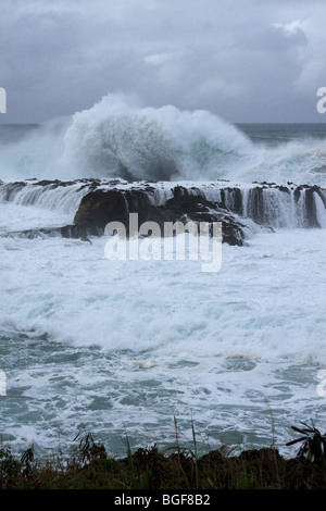 Riesige Wellen schlug die Küste bei Hai Bucht auf der North Shore von O'ahu, Hawaii, am 25. Dezember 2009 Stockfoto