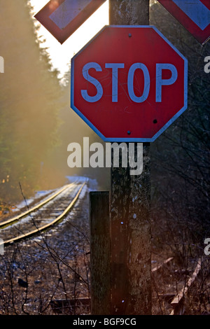 Sonne hinter ein Eisenbahn-Kreuzung-Zeichen und ein Stop-Schild mit leichtem Nebel schwebt die leicht Schnee bedeckten Bahngleise der Stockfoto