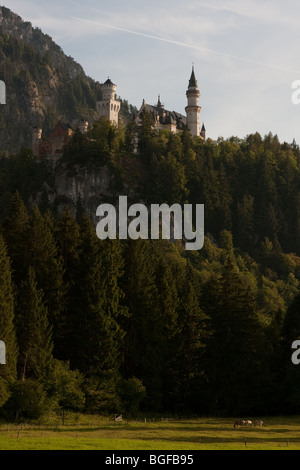 Schloss Neuschwanstein in den Bergen, Bayern, Deutschland Stockfoto