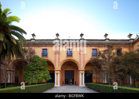 Patio del Crucero, Palacio Gótico (auch bekannt als die Hallen von Karl V), Alcazar, Sevilla, Andalusien, Spanien Stockfoto