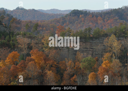 Red River Gorge Kentucky Doppelbogen Herbstfarben Appalachen Stockfoto