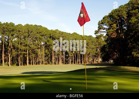 Golfplatz - Jekyll Island, Georgia USA Stockfoto