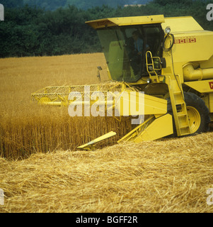 New Holland kombinieren Ernte gold Hafer Ernte im Sommer, Hampshire Stockfoto
