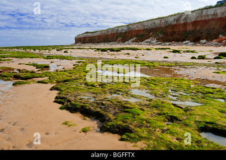 Blick auf den Sandstrand und die Klippen von Hunstanton in Nord-West Norfolk England UK mit Algen bedeckt Felsen im Vordergrund Stockfoto