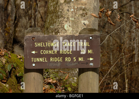 Melden Sie sich auf der Sheltowee Spur Spur im Red River Gorge geologischen Bereich von Kentucky, USA. Stockfoto