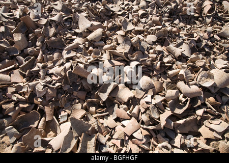 Haufenweise alte Tonscherben auf dem Wüstenboden in Daydamus römischen Kastells in der östlichen Wüste von Ägypten, Nordafrika Stockfoto