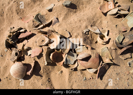 Haufenweise alte Tonscherben auf dem Wüstenboden in Daydamus römischen Kastells in der östlichen Wüste von Ägypten, Nordafrika Stockfoto