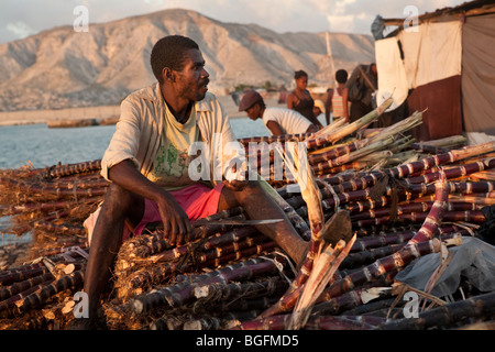Ein Hafenarbeiter sitzt oben auf Bündel von Zuckerrohr am Hafen Gonaives, Abteilung Artibonite, Haiti Stockfoto
