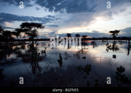 Sonnenuntergang über überfluteten Felder in Mererani, Arusha Region, Tansania, Ostafrika. Stockfoto