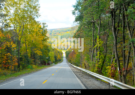 Straße mit Herbstfarben Finger Lakes Region New York Stockfoto