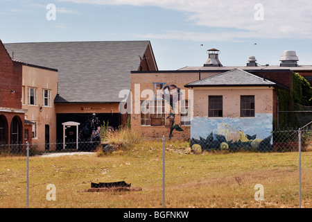 Gebäude mit Wandmalereien hinter einem Maschendrahtzaun im ehemaligen Lorton Correctional Complex, Lorton, Virginia. Stockfoto