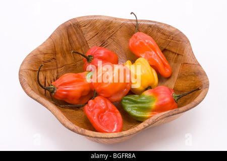 Gemischte Caribbean scotch Bonnet Chilis in Holzschale vor weißem Hintergrund Stockfoto