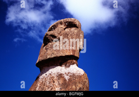 Kopf einer Statue der Osterinsel, einem Moai auf der Insel Stockfoto