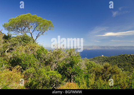 Nationalpark Port-Cros, Blick vom Mont Zitter, Port-Cros Island, Îles d'Hyères, Var, Côte d ' Azur oder Côte d ' Azur, Frankreich Stockfoto