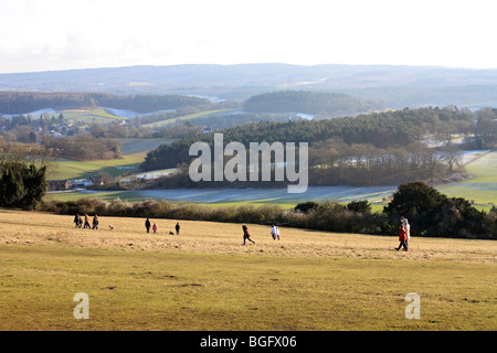 Die Aussicht von Albury unten in der Nähe Newlands Ecke direkt an der A25 zwischen Guildford und Dorking Surrey England UK Stockfoto