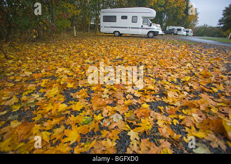 Laub, Caravaning, Reisemobil, Nordengland, Oktober 2009 Stockfoto