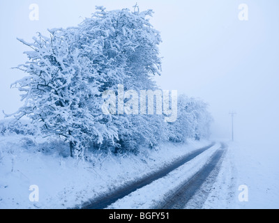 Spuren von Schnee und Nebel in Litchfield Hampshire UK Stockfoto