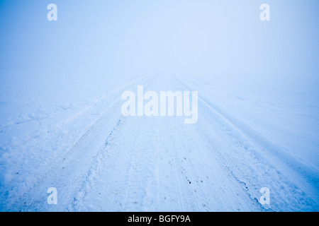 Spuren von Schnee und Nebel in Litchfield Hampshire UK Stockfoto