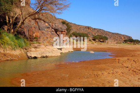 Restliches Wasser in einem Flussbett in der Nähe der prähistorischen Ausgrabungen von Felsgravuren in Wadi Mathendous, Libyen Stockfoto