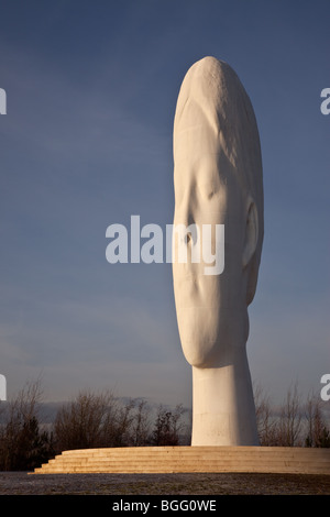 Der Traum von Jaume Plensa, auf dem Gelände des ehemaligen Sutton Manor Zeche, Str. Helens, Lancashire, UK Stockfoto