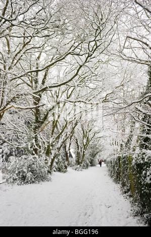 Winterschnee bedeckten Weg und Bäume in einer ländlichen Gegend eine Chilterns Bucks UK Stockfoto
