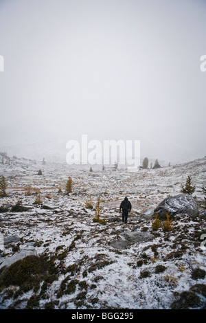 Eine Person, die zu Fuß in einer stürmischen Schnee bedeckt Alpenlandschaft, Verzauberung Lakes Wilderness Area, Washington Kaskaden, USA. Stockfoto