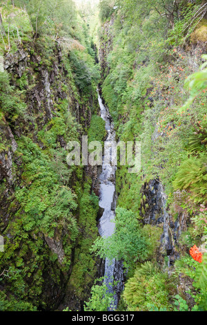 Der kilometerlange Box Canyon im Corrieshalloch Gorge National Nature Reserve, Braemore, Highland, Schottland, Großbritannien Stockfoto