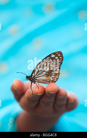 Tirumala limniace. Blue Tiger Schmetterling auf der Hand eines indischen Mädchens. Indien Stockfoto