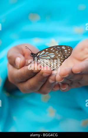 Tirumala limniace. Blue Tiger Schmetterling auf der Hand eines indischen Mädchens. Indien Stockfoto
