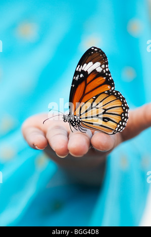 Gestreifte Tiger Butterfly (Gemeinsame Tiger Butterfly) auf der Hand eines indischen Mädchens Stockfoto