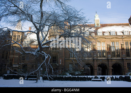 Schnee am Boden Stockfoto