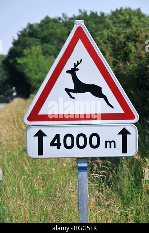 Warnzeichen / Traffic-Zeichen für Rehe beim Überqueren der Straße in ländlichen Landschaft Stockfoto