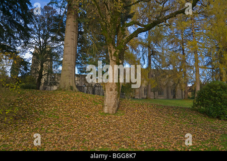 Herbstfärbung neben Fluss Tay, Dunkeld Kathedrale, Perthshire, Schottland, Oktober 2009 Stockfoto
