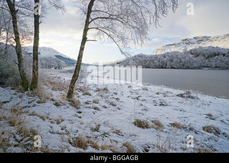 Schneelandschaft, Loch Lubhair, Glen Dochart, Dezember 2009 Stockfoto